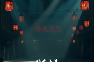 剧集《南方候鸟》封面，候鸟群飞过湿地水面的黄昏